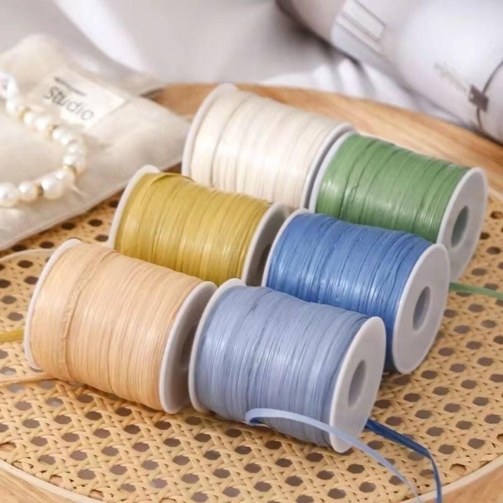 프리미엄 품질 120M 롤당 라피아 실, 내구성 있는  - Crochet Bag Raffia 리뷰 및 가격